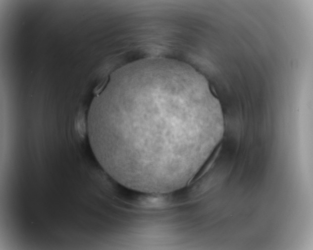 X0000089860479200707191924