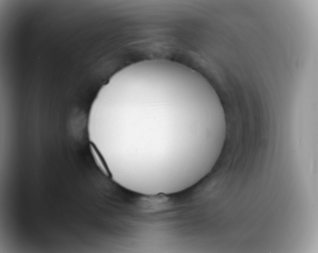 X0000089860480200707191924