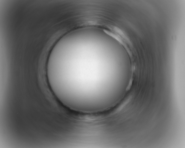 X0000089860481200707191923