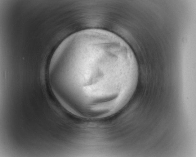 X0000089860482200707191923