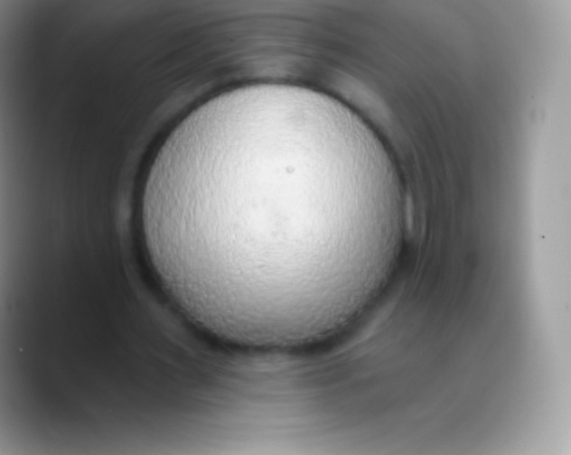 X0000089860483200707191923