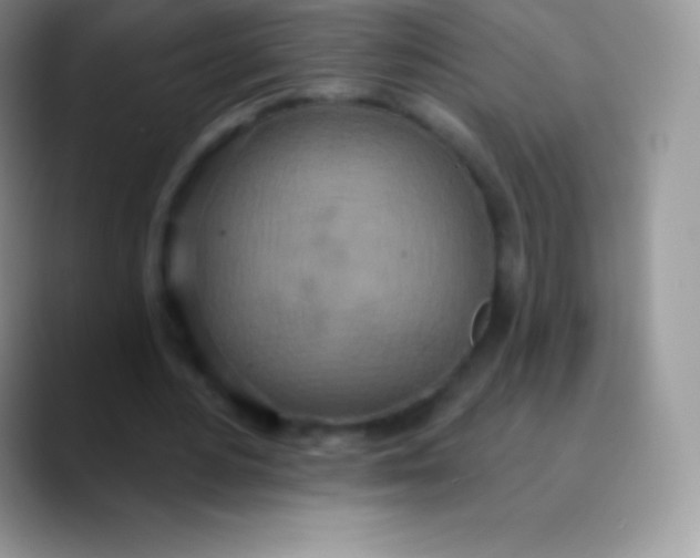 X0000089860484200707191923