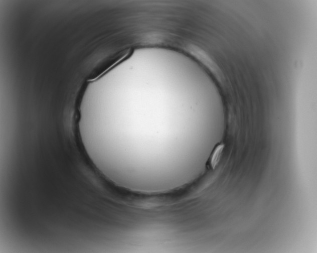 X0000089860485200707191923