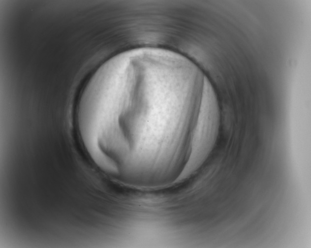 X0000089860486200707191923