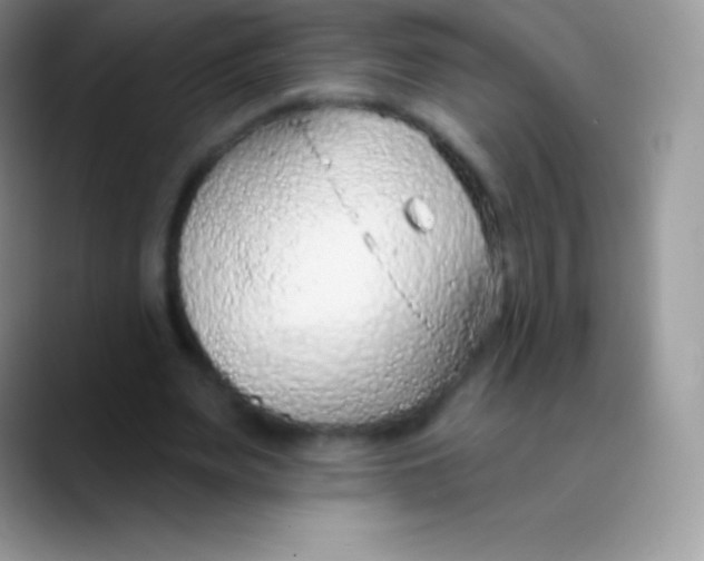 X0000089860487200707191923