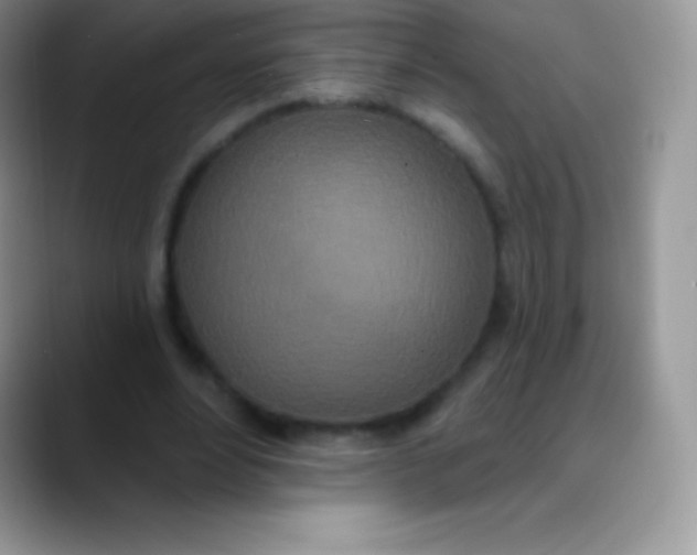 X0000089860488200707191923