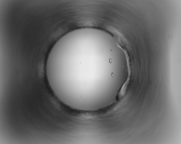 X0000089860489200707191923