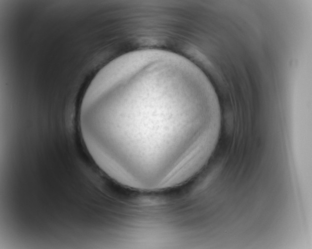 X0000089860490200707191923