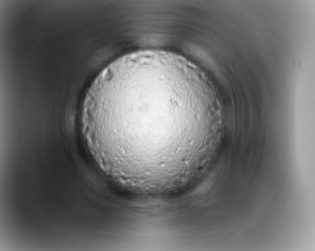 X0000089860491200707191923