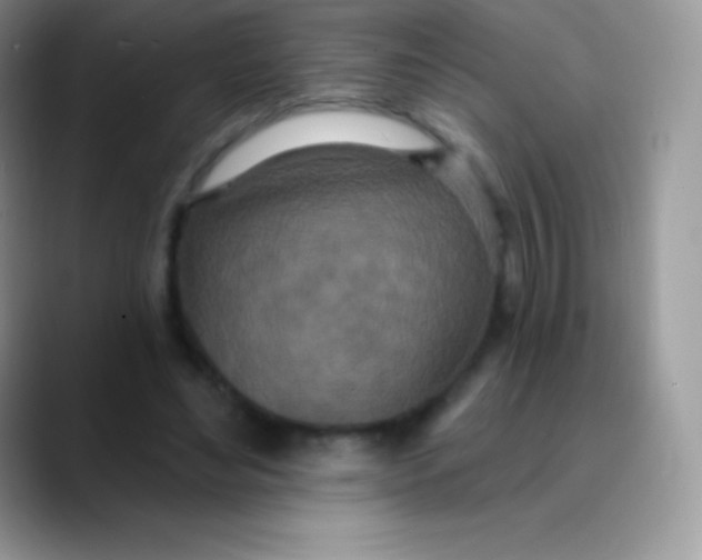 X0000089860492200707191923