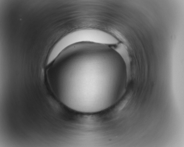 X0000089860493200707191923