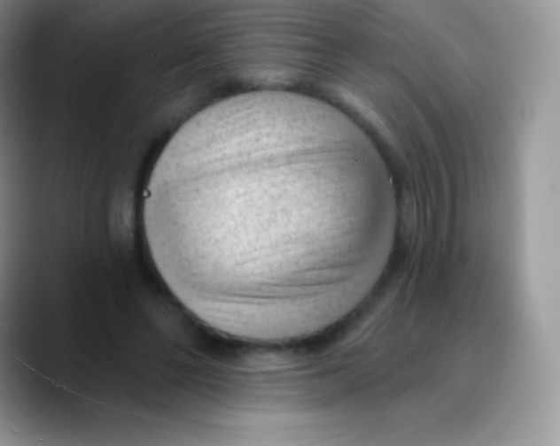 X0000089860494200707191923