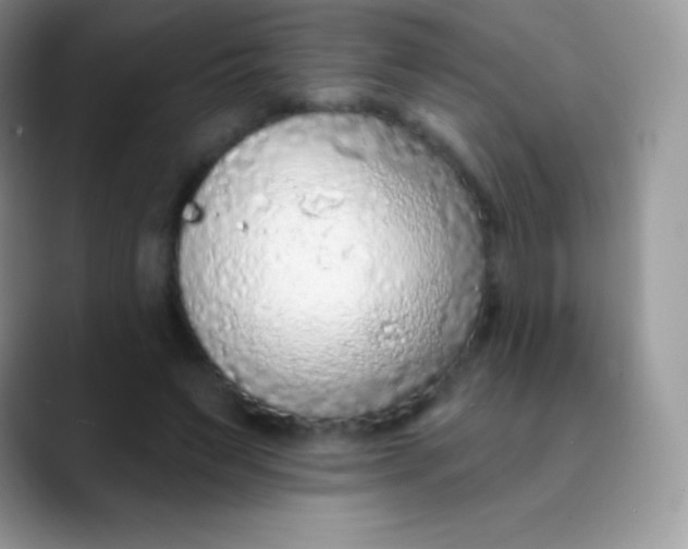 X0000089860495200707191923