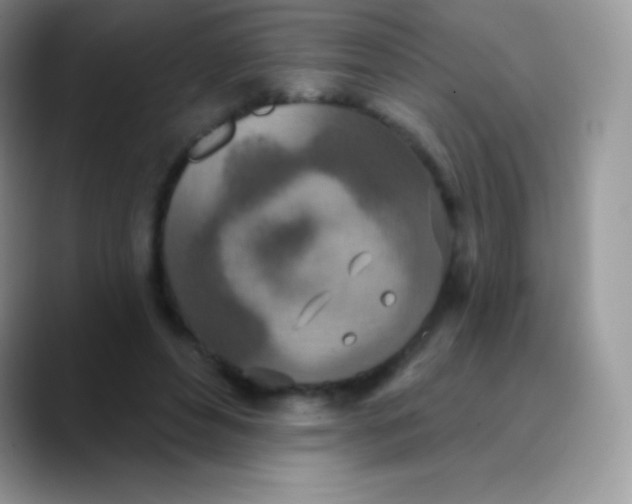 X0000089860496200707191923