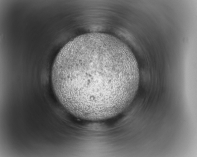 X0000089860499200707191923