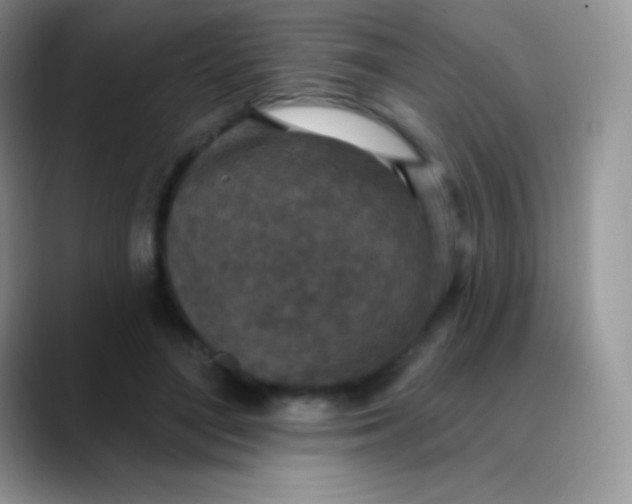 X0000089860500200707191923