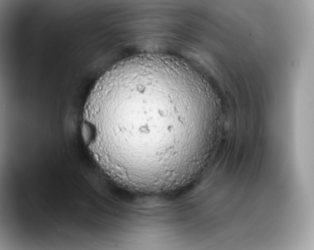 X0000089860503200707191923