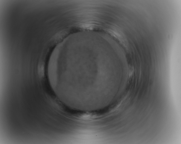 X0000089860504200707191923