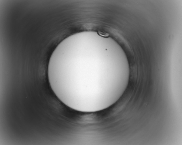 X0000089860505200707191923