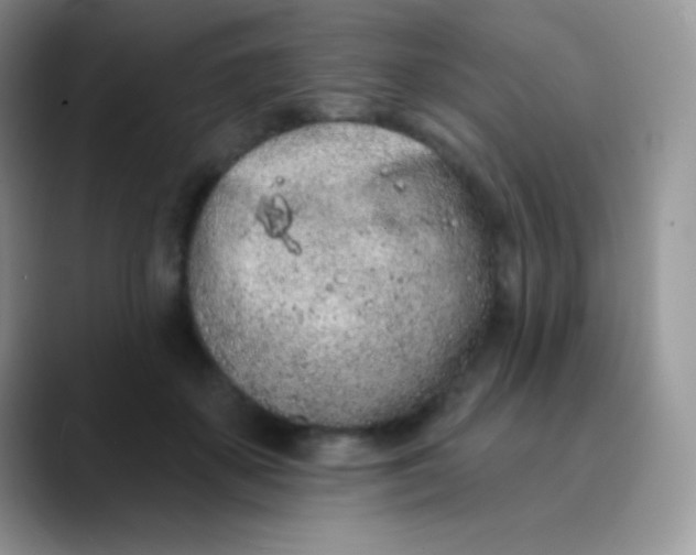 X0000089860507200707191923