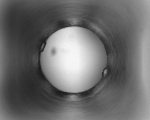 X0000089860509200707191923