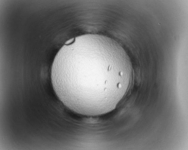 X0000089860511200707191923