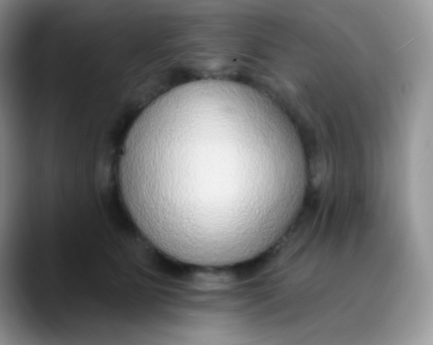 X0000089860515200707191923