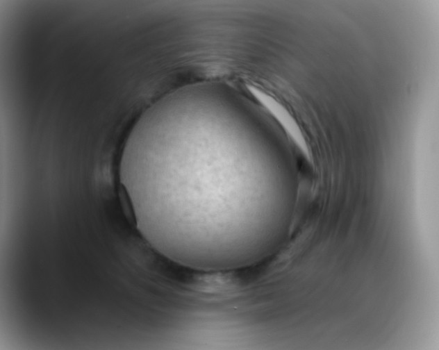 X0000089860516200707191923