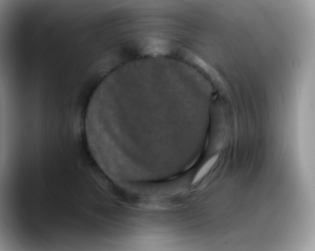 X0000089860517200707191923