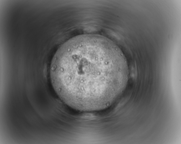 X0000089860519200707191923