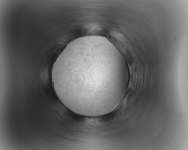 X0000089860520200707191923