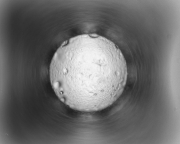 X0000089860523200707191923