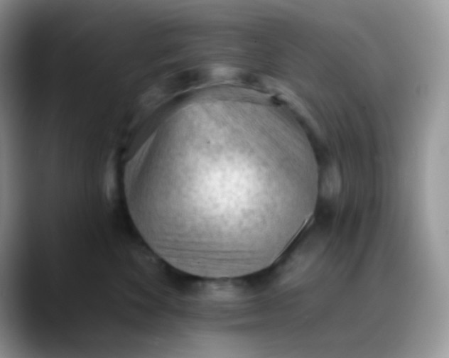 X0000089860524200707191922