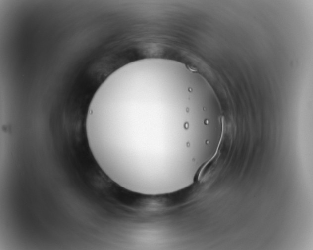 X0000089860525200707191922