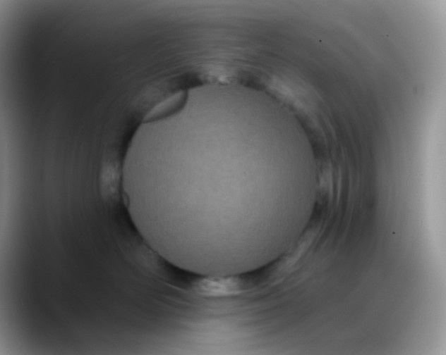 X0000089860526200707191922