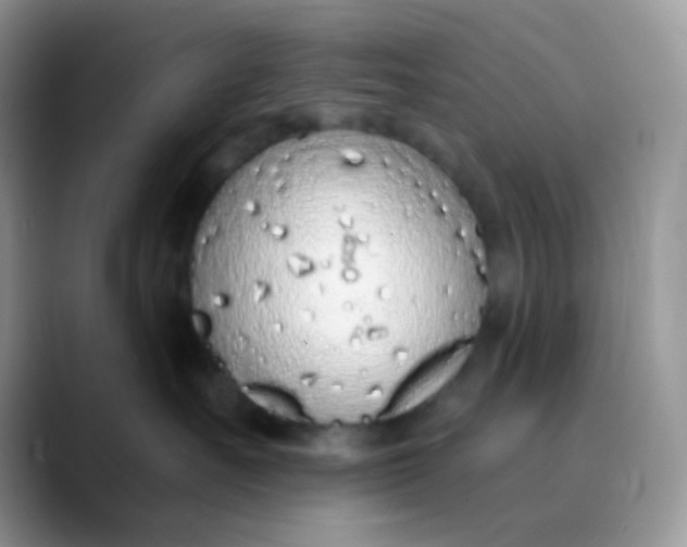 X0000089860527200707191922