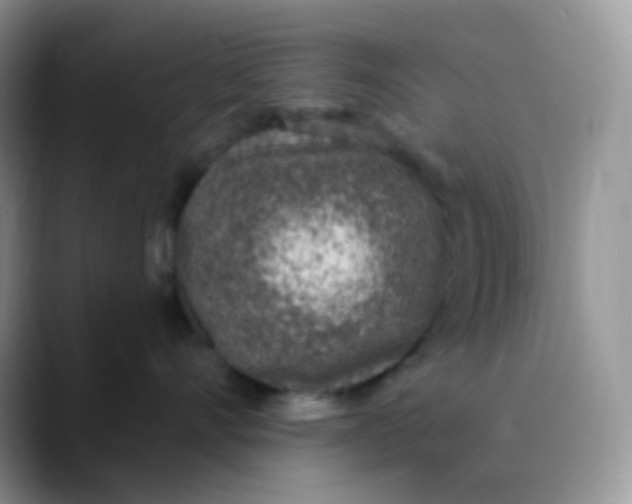 X0000089860528200707191922