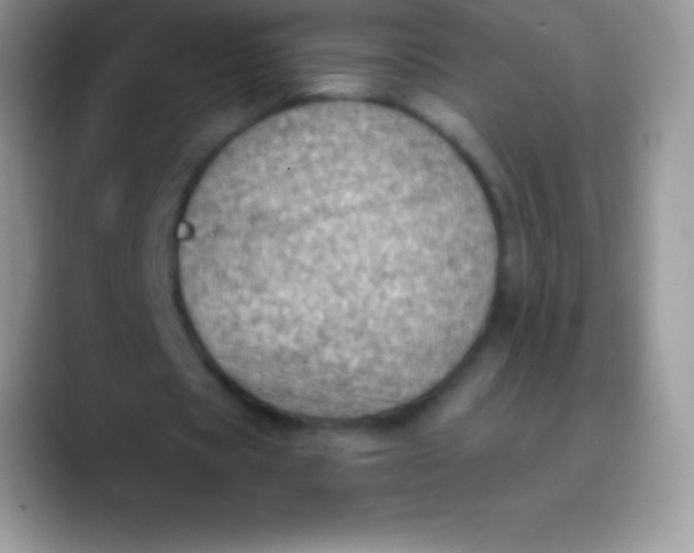 X0000089860529200707191922