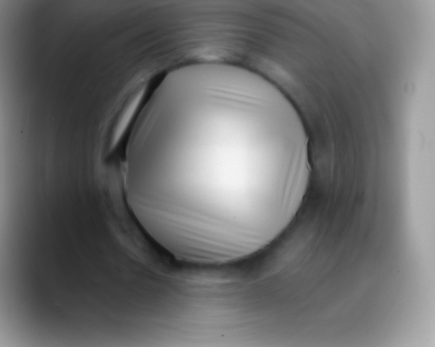 X0000089860530200707191922