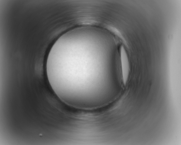 X0000089860531200707191922