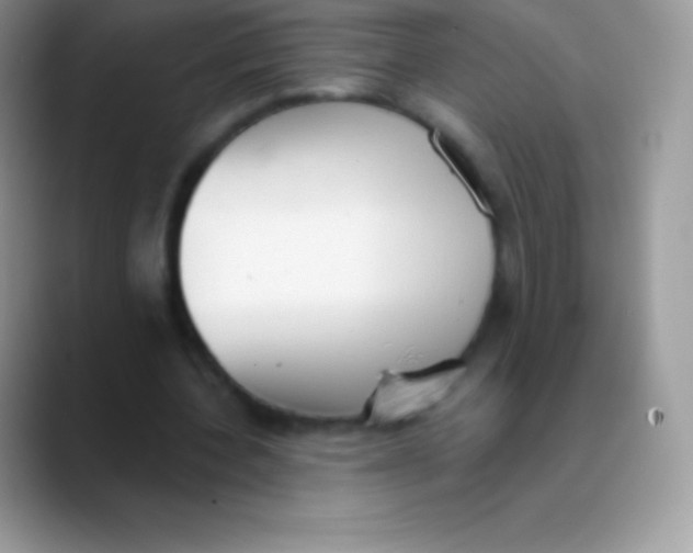 X0000089860532200707191922