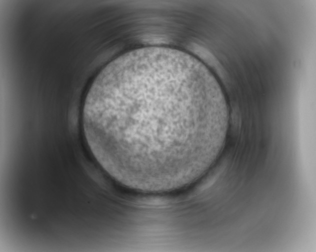 X0000089860533200707191922