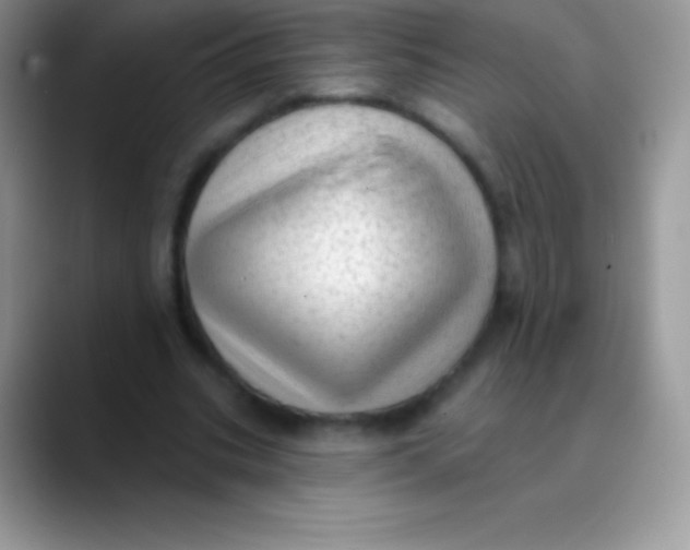 X0000089860535200707191922