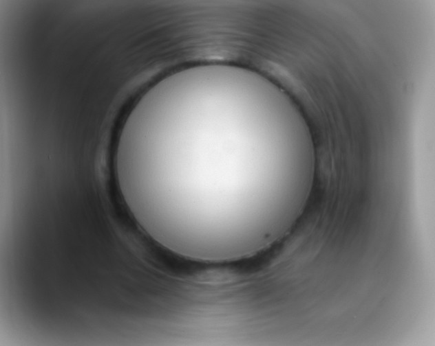 X0000089860536200707191922