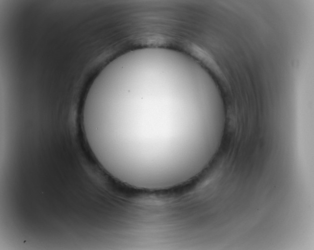 X0000089860538200707191922