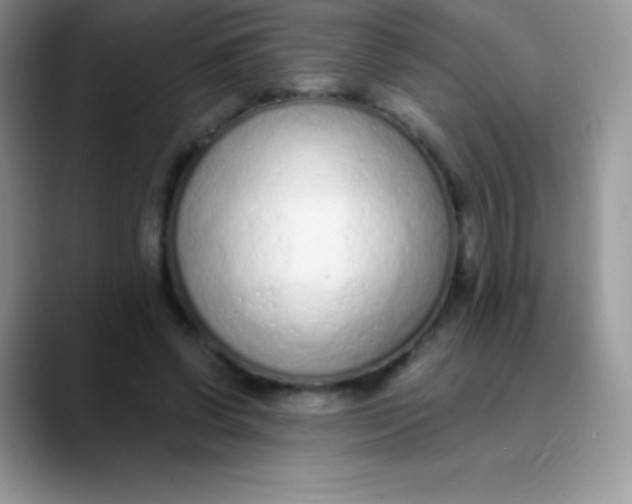 X0000089860542200707191922