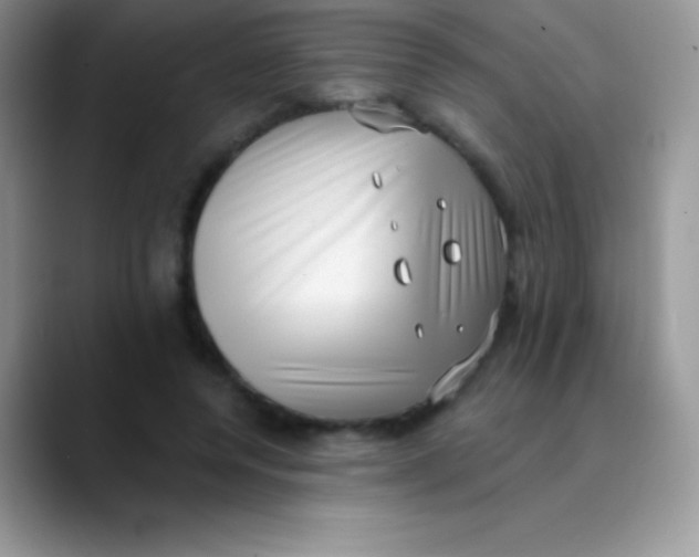 X0000089860544200707191922