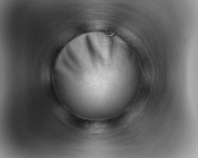 X0000089860546200707191922