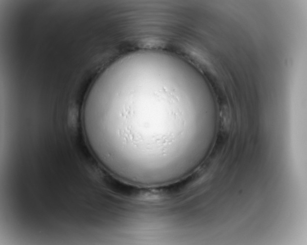 X0000089860550200707191922