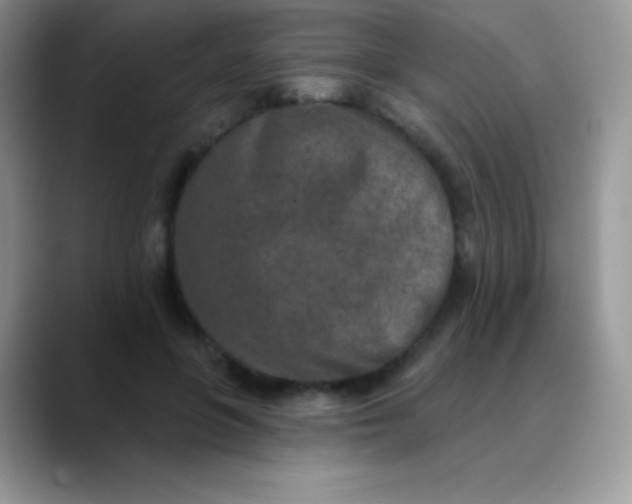 X0000089860551200707191922